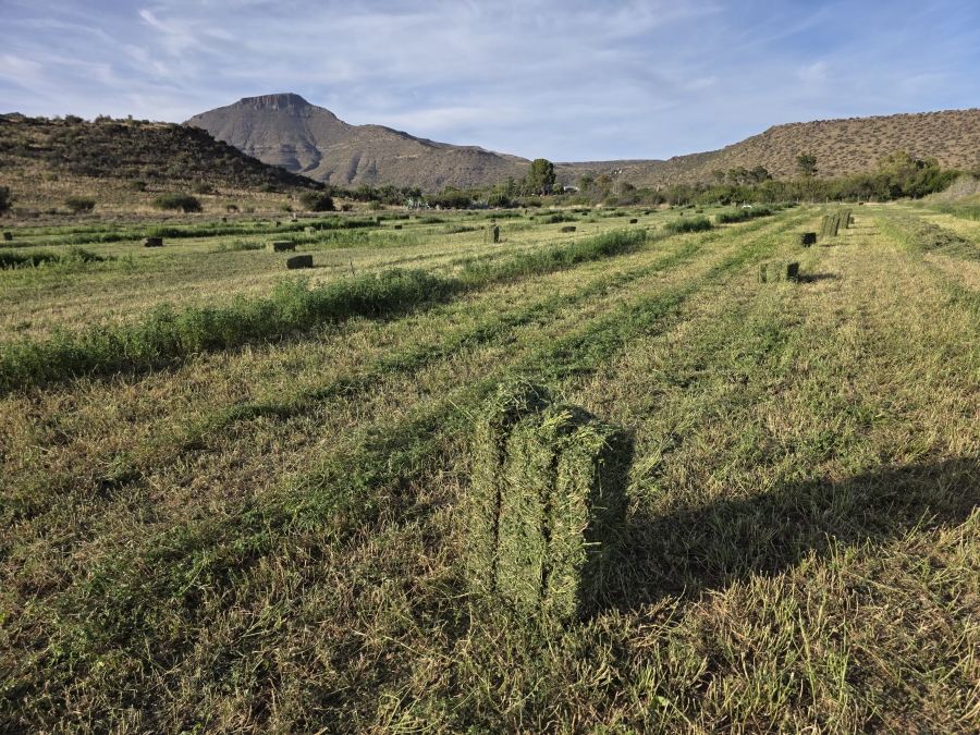 0 Bedroom Property for Sale in Middelburg Rural Eastern Cape